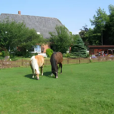 Sommerwind *